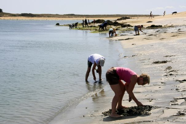 loic kersuzan - morbihan tourisme