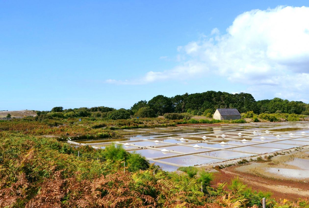 marais salants de kervillen