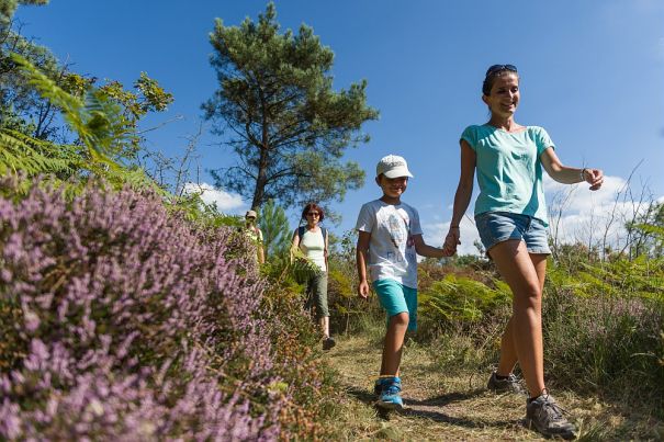 berthier emmanuel - crtb