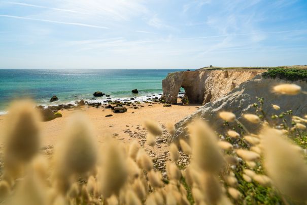 thibault poriel - OTI Baie de Quiberon