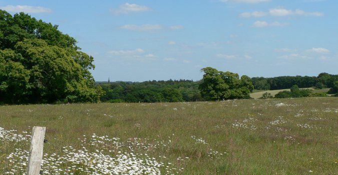 sentier de randonnée entre Sainte Avoye et le Bono