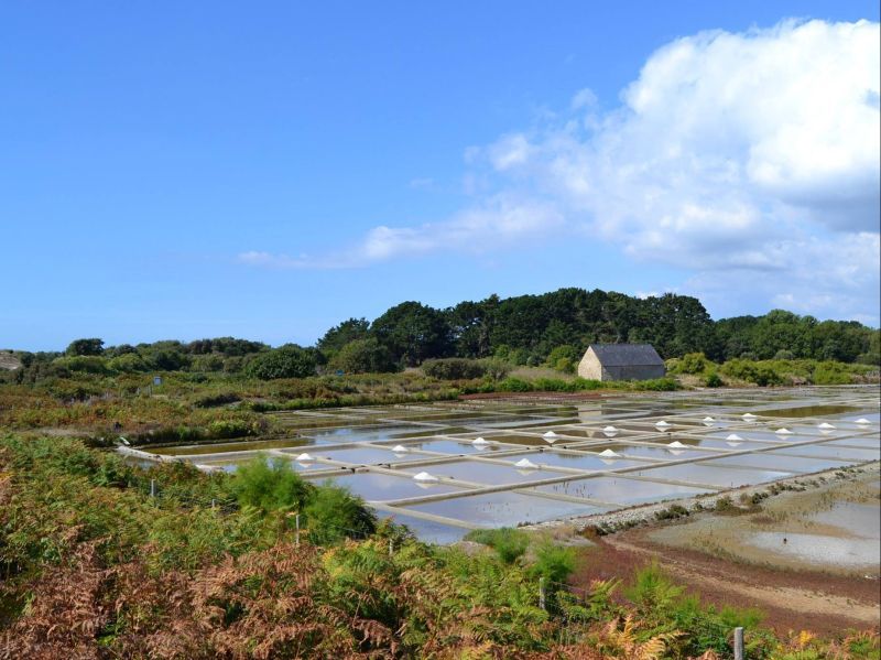 marais salant de kervillen - la trinite sur mer