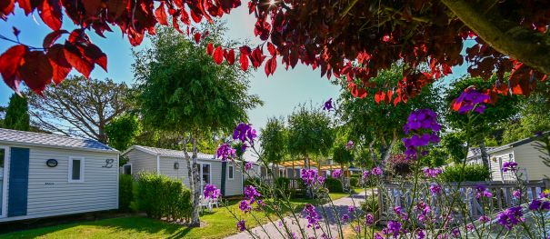 Arrivées, départs – mode d’emploi