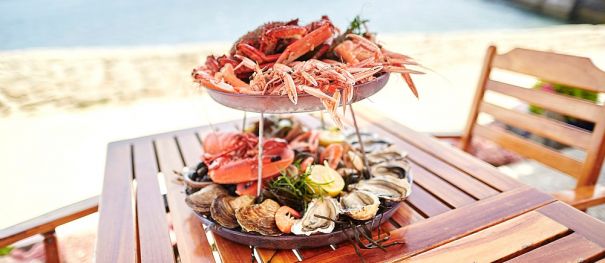 Coups de coeur, bonnes adresses et expériences à vivre