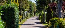 Emplacements tentes et caravanes @ Camping de La Baie